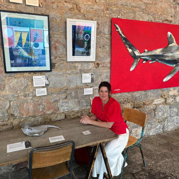 We Visited The Shark Trust Exhibition